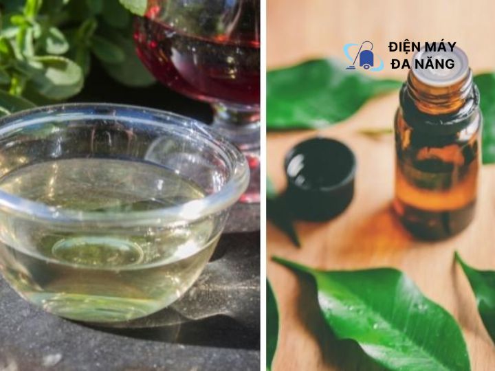 Vệ sinh bằng giấm trắng và tính dầu trà