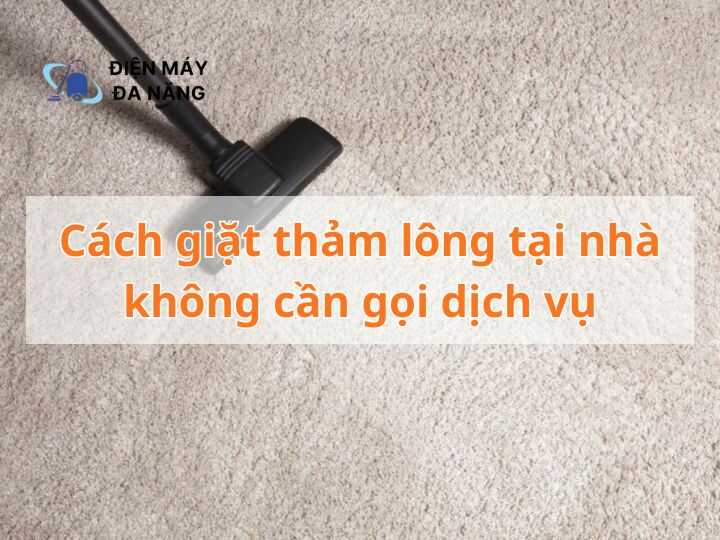 Cách giặt thảm lông tại nhà không cần gọi dịch vụ