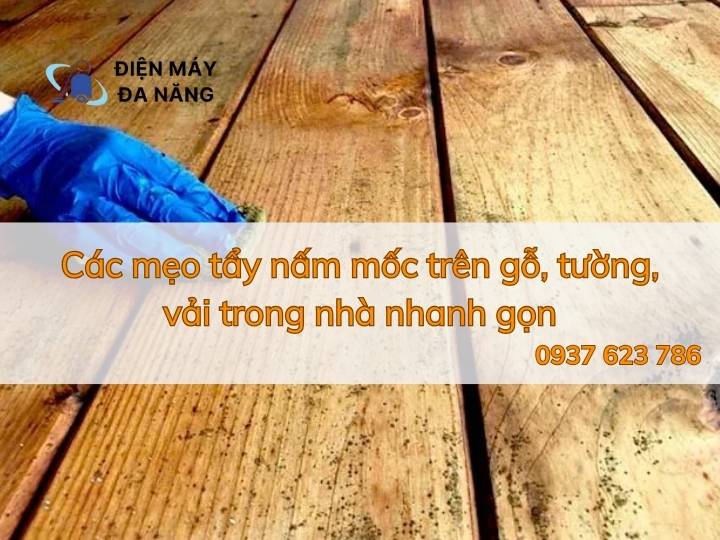Các mẹo tẩy nấm mốc trên gỗ, tường, vải trong nhà nhanh gọn