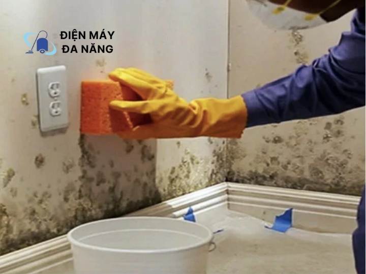 Cách tẩy rêu mốc trên tường nhà đơn giản nhất