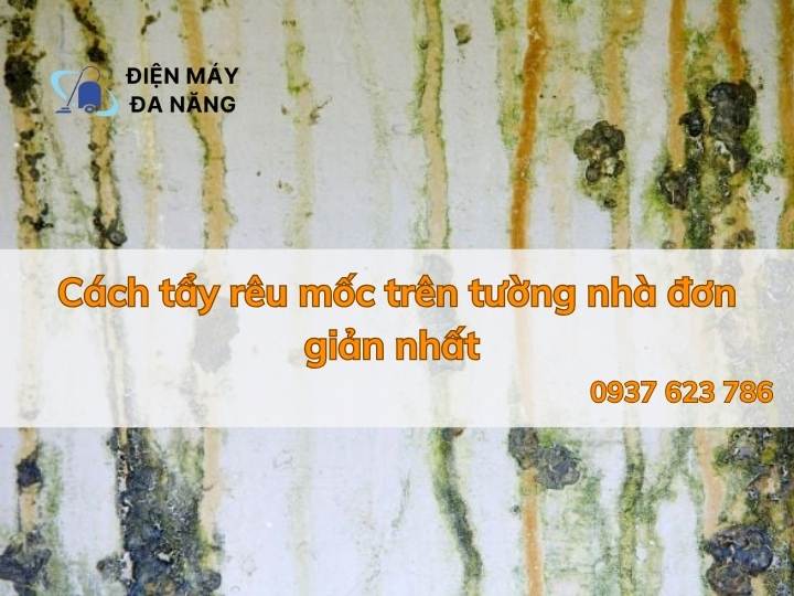 Cách tẩy rêu mốc trên tường nhà đơn giản nhất