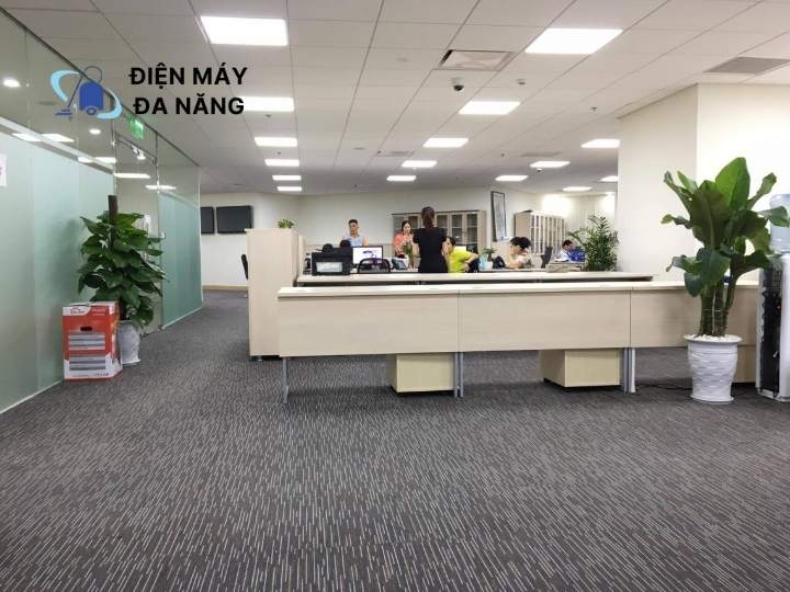 Công ty có trải thảm nền sử dụng máy chà sàn nào?