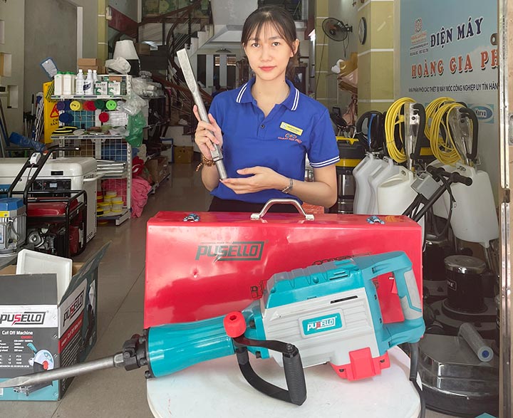 Máy đục bê tông Pusello DH85