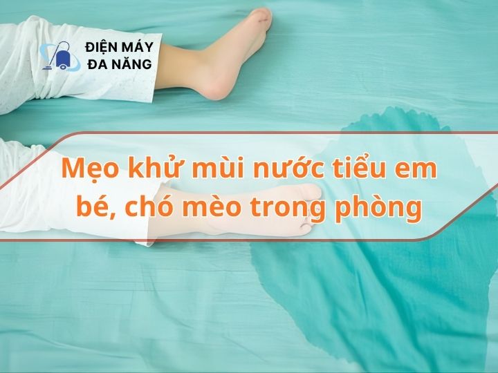 Mẹo khử mùi nước tiểu em bé, chó mèo trong phòng