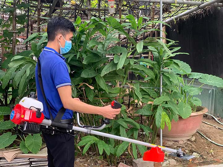 Máy cắt cỏ cầm tay