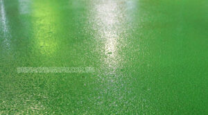 sơn epoxy tạo nhám