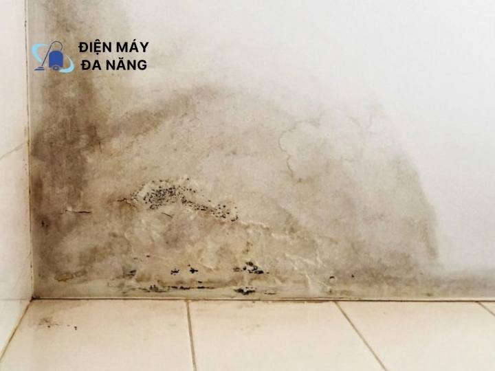 Nguyên nhân khiến sàn nhà vệ sinh bị chống thấm