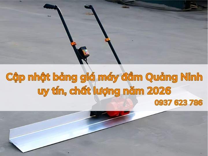 Cập nhật bảng giá máy đầm Quảng Ninh uy tín, chất lượng năm 2026